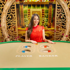 ceo bet365 ব্যাক বো